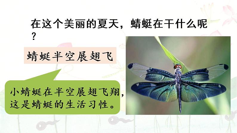 统编版一年级语文下册 第5单元 5.动物儿歌 课件08