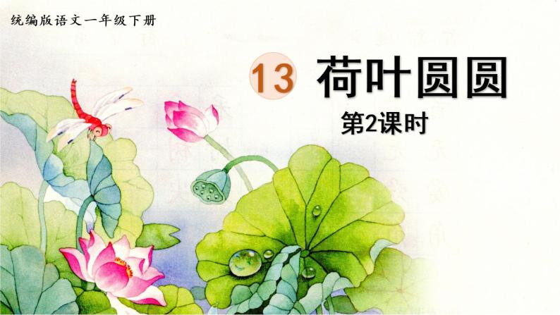 统编版一年级语文下册 第6单元 13.荷叶圆圆 课件01