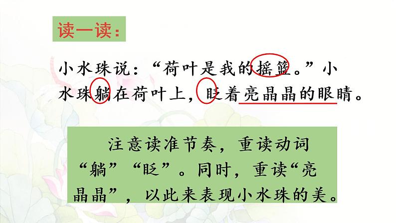 统编版一年级语文下册 第6单元 13.荷叶圆圆 课件07