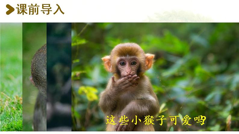 统编版一年级语文下册 第7单元 18.小猴子下山 课件02