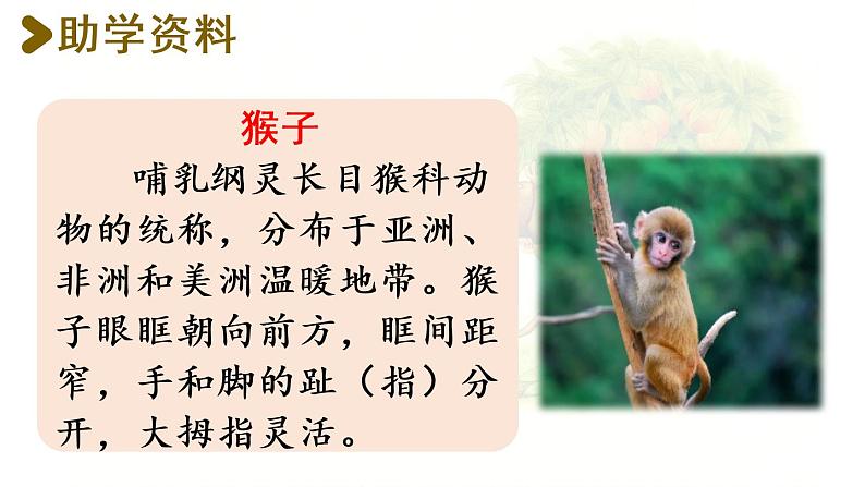 统编版一年级语文下册 第7单元 18.小猴子下山 课件03