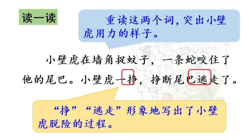 统编版一年级语文下册 第8单元 21.小壁虎借尾巴 课件04