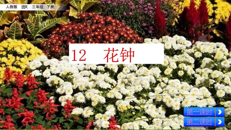最新部编版三年级语文下册13花钟优质课件PPT04