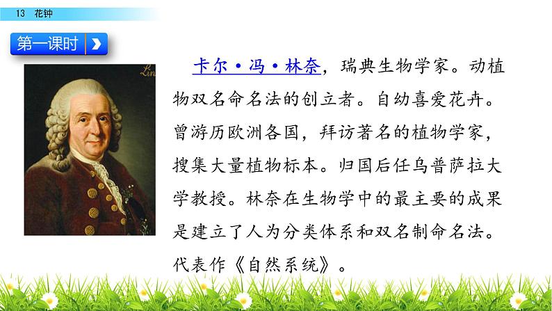 最新部编版三年级语文下册13花钟优质课件PPT05