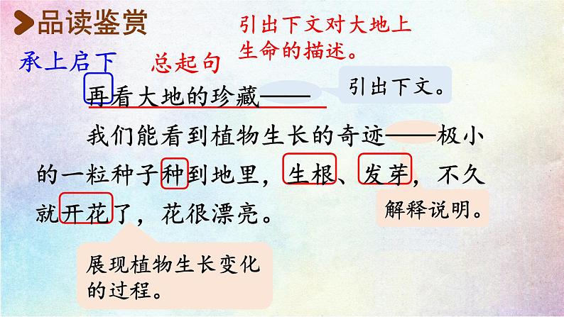 统编版三年级语文下册 第七单元 22.我们奇妙的世界 课件05
