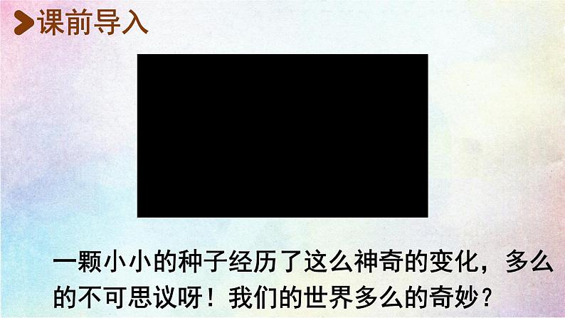统编版三年级语文下册 第七单元 22.我们奇妙的世界 课件02
