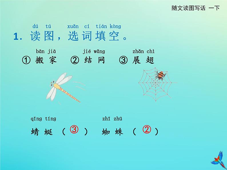一年级语文下册第五单元识字5动物儿歌随文读图写话课件新人教版第3页