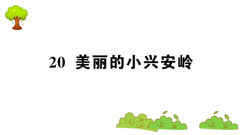 部编版 语文三年级上册 知识总结课件PPT :20 美丽的小兴安岭01