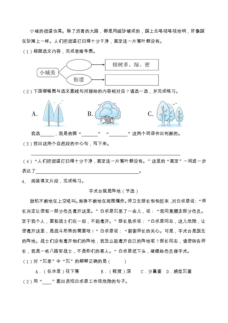 部編版三年級語文上冊課內(nèi)閱讀專項(xiàng)訓(xùn)練（含答案） (15)第3頁