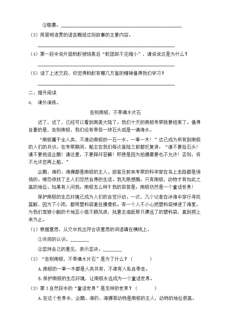 人教部编版三年级语文上册第八单元阅读训练(含答案)(5)第3页
