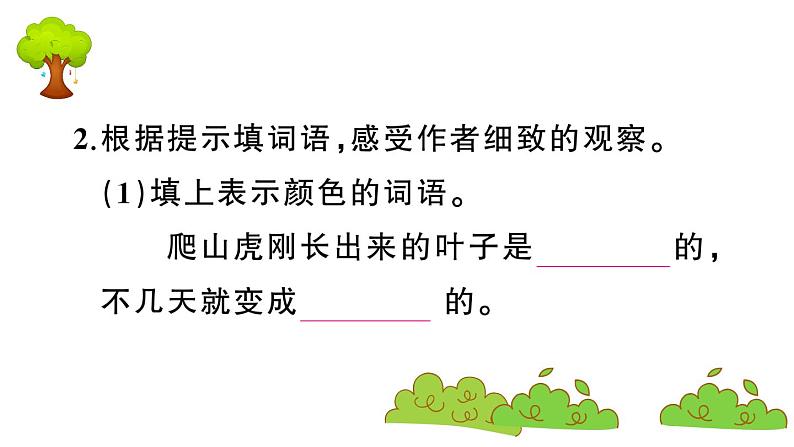 部编版 语文四年级上册 复习课件 :10 爬山虎的脚06