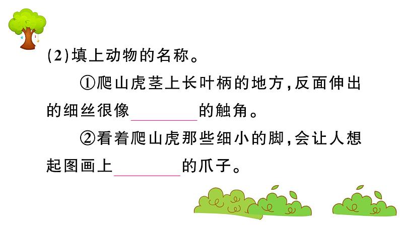 部编版 语文四年级上册 复习课件 :10 爬山虎的脚07