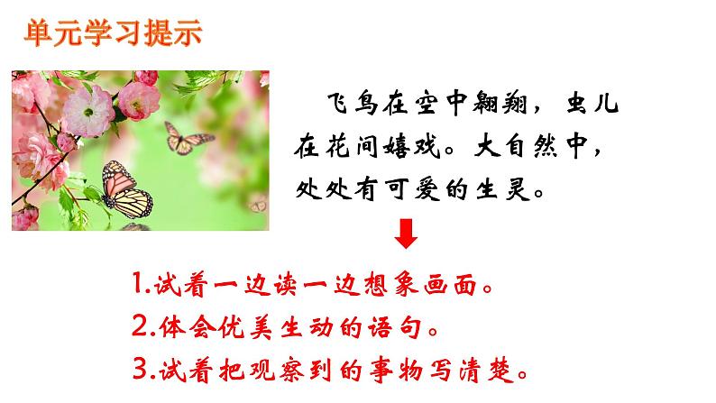 1、古诗三首绝句 课件01