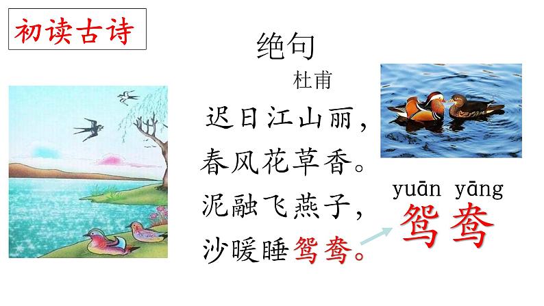 1、古诗三首绝句 课件06