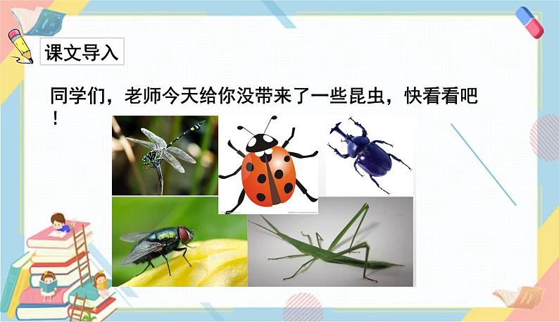 部编版语文三年级下册 4《昆虫备忘录》课件+教案+练习+课文朗读02