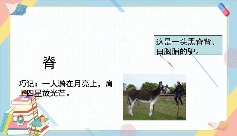 部编版语文三年级下册 27《漏》课件+教案+练习+课文朗读06