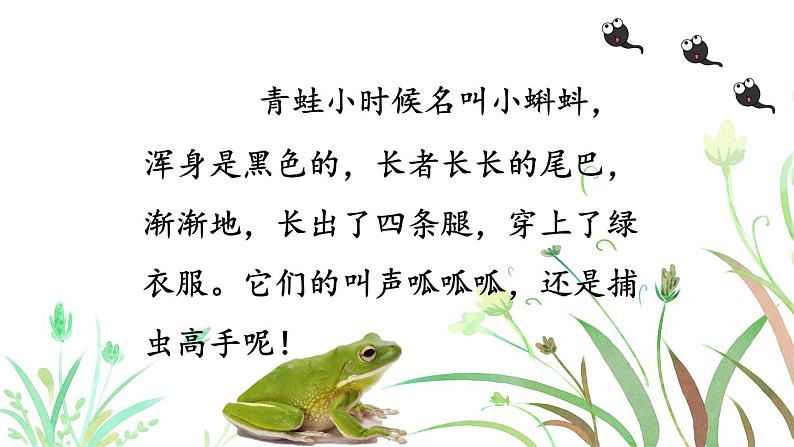 部编版(五四制)语文一下 识字3.《小青蛙》课件05
