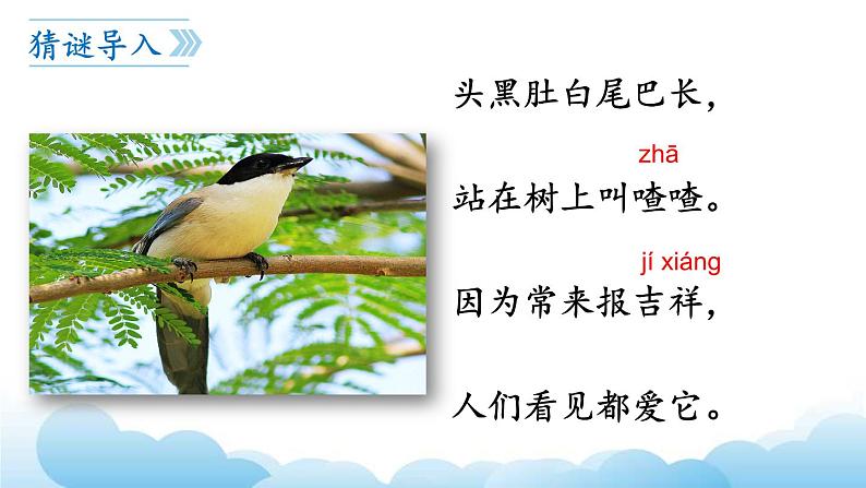 部编版(五四制)语文一下 6.《树和喜鹊》课件第3页
