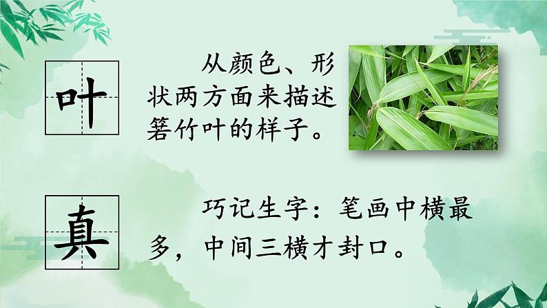 部编版(五四制)语文一下 10 《端午粽》课件第8页