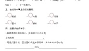 2021学年20 蜘蛛开店精品同步训练题