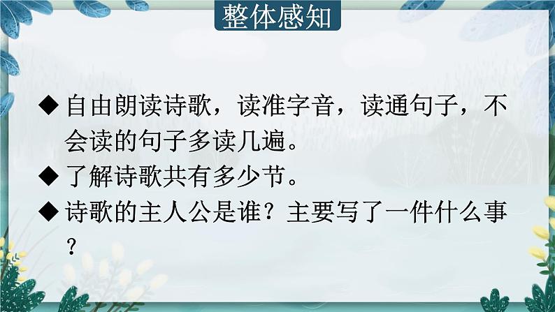 部编版(五四制)三下 8 池子与河流 课件04