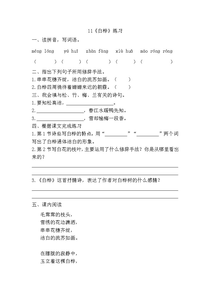 部编版(五四制)四下 11《白桦》练习第1页