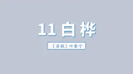 部编版（五四制）四下 11.白桦课件