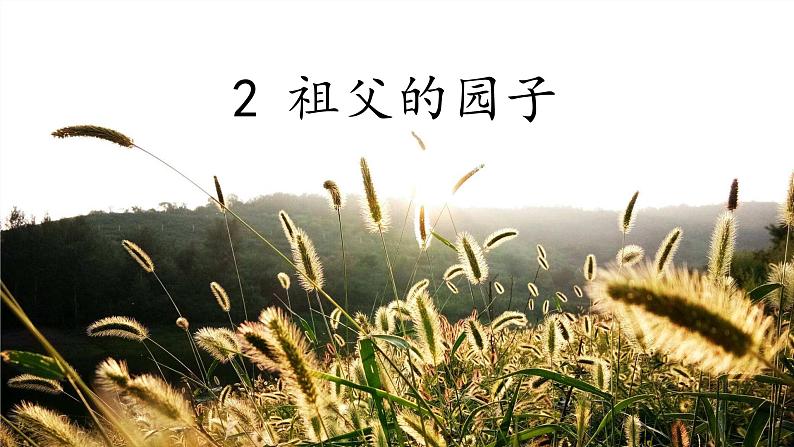 部编版(五四制)五下 2.祖父的园子 课件01