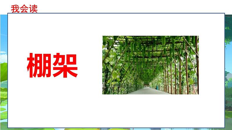 部编版小学六年级语文上册--16.夏天里的成长 课件06