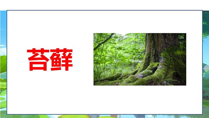 部编版小学六年级语文上册--16.夏天里的成长 课件07