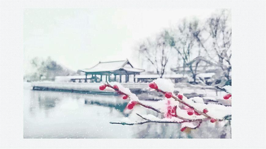 12《雪地里的小畫家》課件PPT第2頁