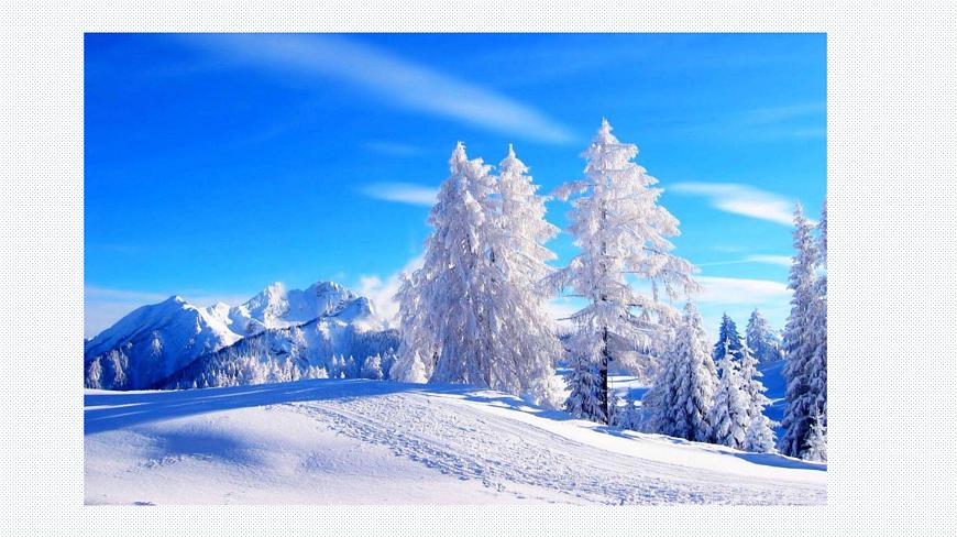 12《雪地里的小畫家》課件PPT第4頁
