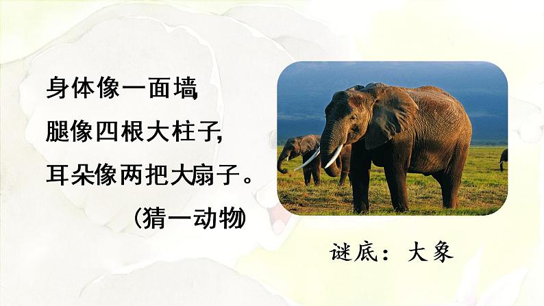 统编版二年级语文下册 第7单元 19.大象的耳朵 课件03