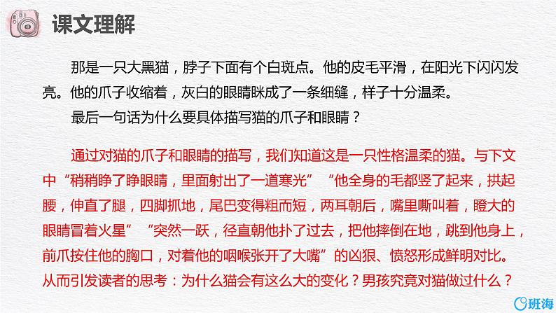 6.骑鹅旅行记(节选)(2课时) 课件+教案08