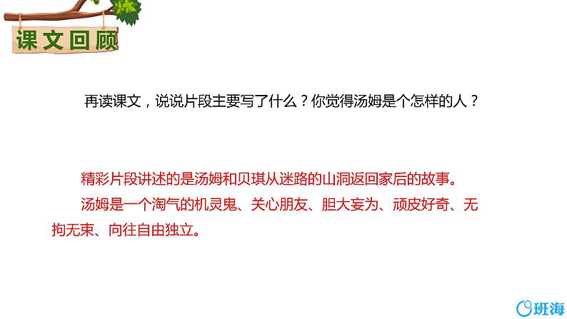 7.汤姆.索亚历险记(节选)(2课时) 课件+教案04