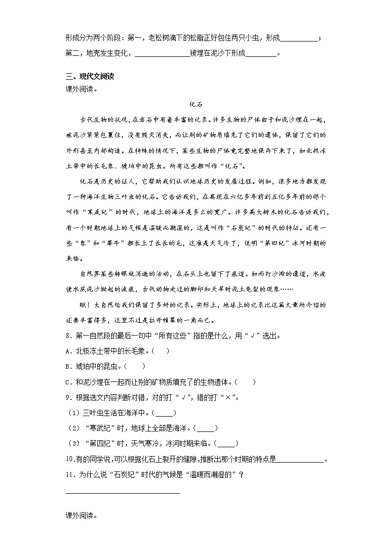 部编版语文四年级下册5.琥珀同步练习02