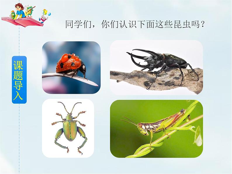 4 昆虫备忘录第2页