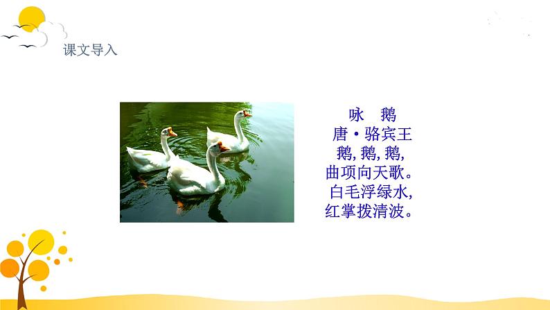 15.白鹅第4页