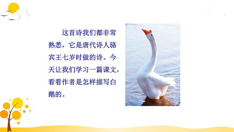 15.白鹅第5页