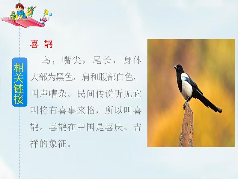 人教部编版一年级下册课文 2——6 树和喜鹊【课件+教案+生字+课文朗读】03