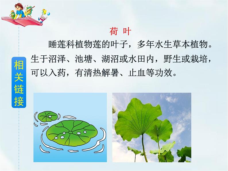 人教部编版一年级下册课文4——13 荷叶圆圆【课件+教案+生字+课文朗读】05