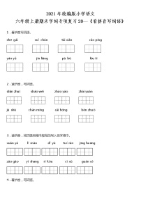 期末字词专项复习20—《看拼音写词语》（试题）2021-2022学年语文六年级上册 统编版 含答案