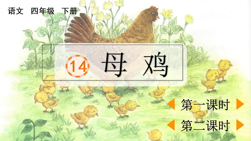 14 母雞第1頁