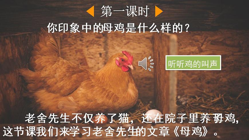 14 母雞第2頁