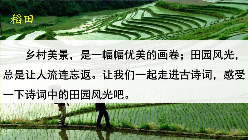 1 古诗词三首第2页