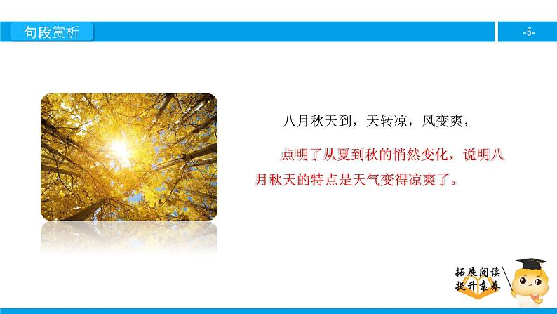 二年级【专项训练】课外阅读:秋天到(下)课件PPT第5页