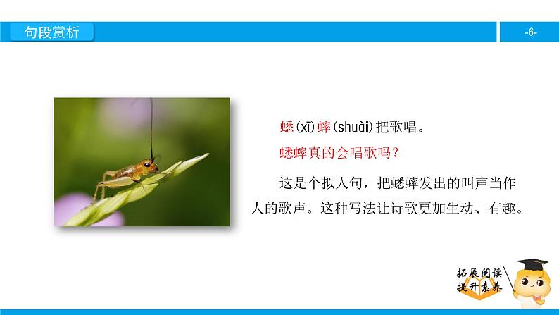 二年级【专项训练】课外阅读:秋天到(下)课件PPT第6页