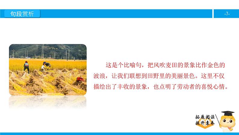 二年级【专项训练】课外阅读:秋天到(下)课件PPT第7页