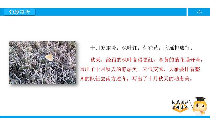 二年级【专项训练】课外阅读:秋天到(下)课件PPT第8页