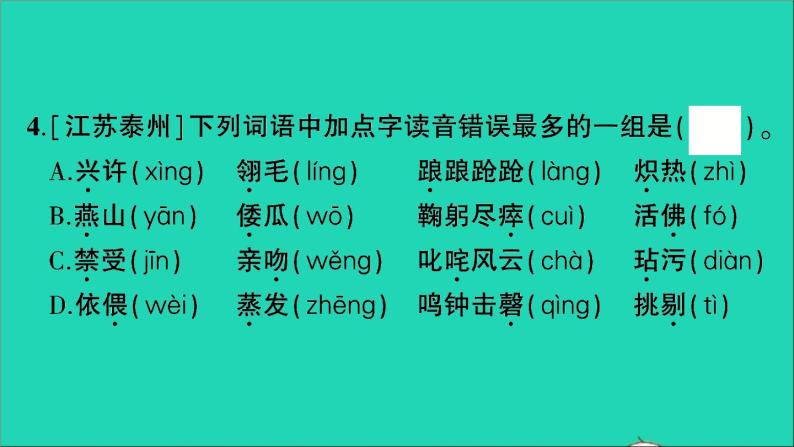2021小升初语文归类冲刺专题一拼音与汉字专项二字音字义字形课件05